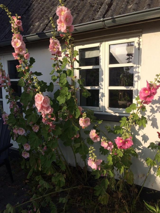 포보르 Aasesminde B&B 외부 사진